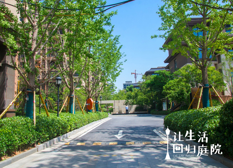 ǰ����������50�꣺�������쾮�������������������������ˣ�